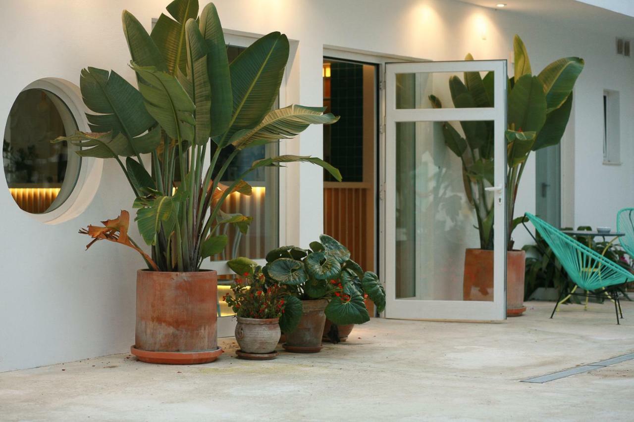 Hostal Las Cumbres Conil De La Frontera Eksteriør billede